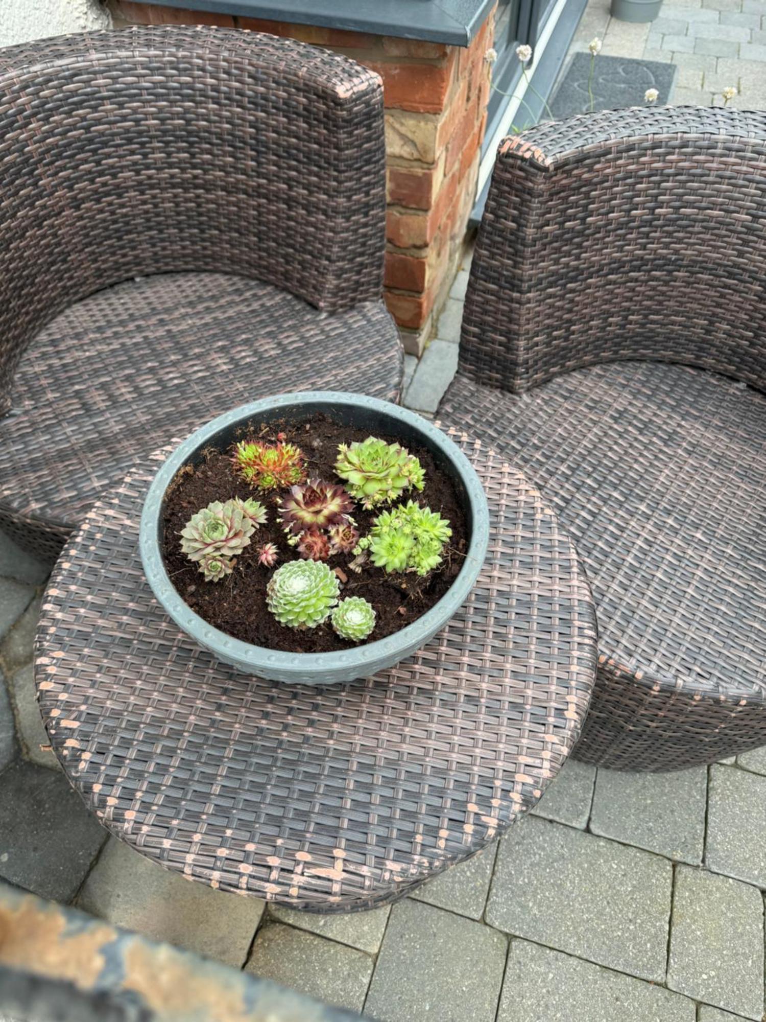 Beach House Apartment On Ground Floor With Sea View - Pet Friendly Cleveleys Bagian luar foto